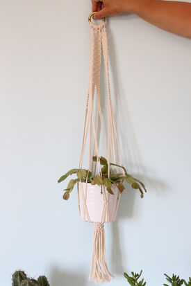 Photo d'une suspension florale en corde